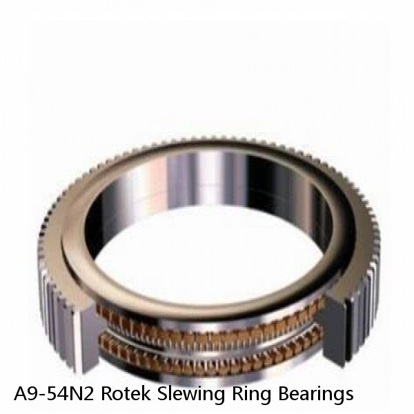 A9-54N2 Rotek Slewing Ring Bearings