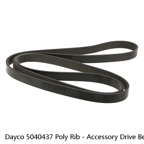 Dayco 5040437 Poly Rib - Accessory Drive Belt