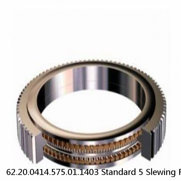 62.20.0414.575.01.1403 Standard 5 Slewing Ring Bearings #1 small image