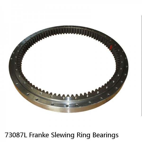 73087L Franke Slewing Ring Bearings