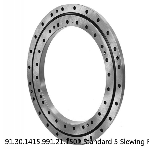 91.30.1415.991.21.1502 Standard 5 Slewing Ring Bearings #1 small image