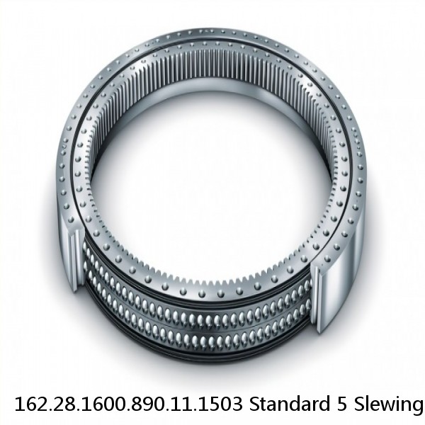 162.28.1600.890.11.1503 Standard 5 Slewing Ring Bearings #1 small image