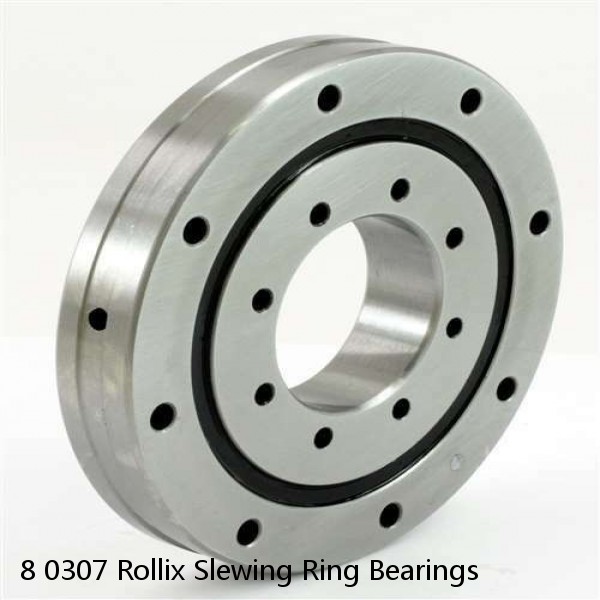 8 0307 Rollix Slewing Ring Bearings #1 small image