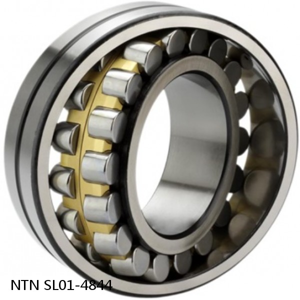 SL01-4844 NTN Cylindrical Roller Bearing #1 small image