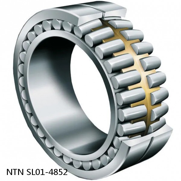 SL01-4852 NTN Cylindrical Roller Bearing #1 small image