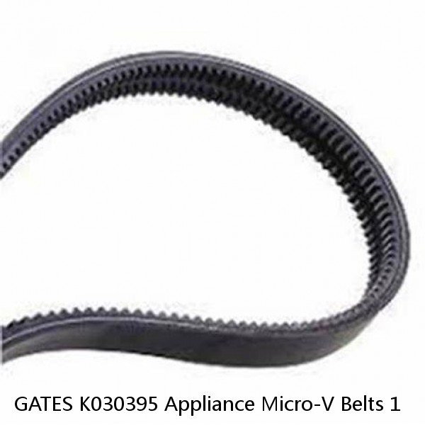 GATES K030395 Appliance Micro-V Belts 1 #1 small image