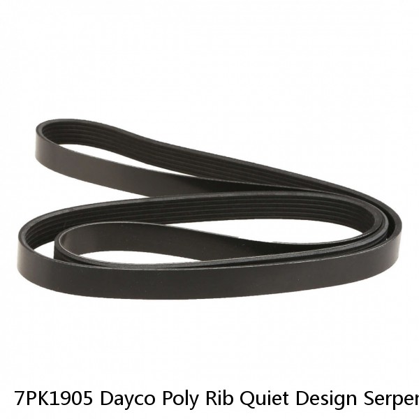 7PK1905 Dayco Poly Rib Quiet Design Serpentine Belt Free Shipping Free Returns #1 small image