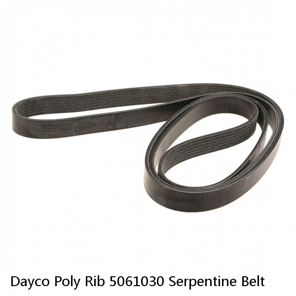 Dayco Poly Rib 5061030 Serpentine Belt #1 small image