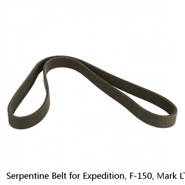 Serpentine Belt for Expedition, F-150, Mark LT, Navigator Dayco Poly rib 5061030 #1 small image
