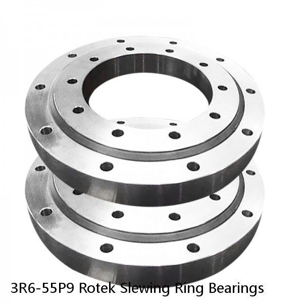 3R6-55P9 Rotek Slewing Ring Bearings #1 image