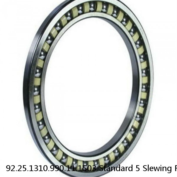 92.25.1310.990.11.1503 Standard 5 Slewing Ring Bearings #1 image