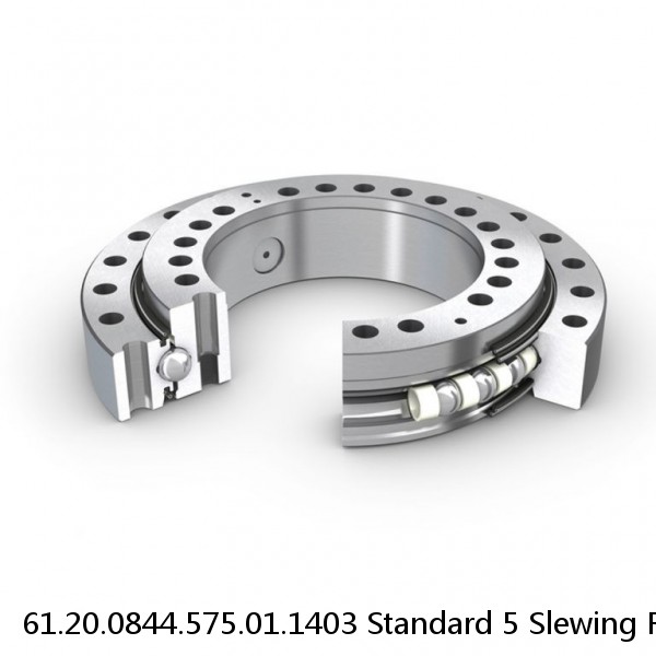 61.20.0844.575.01.1403 Standard 5 Slewing Ring Bearings #1 image