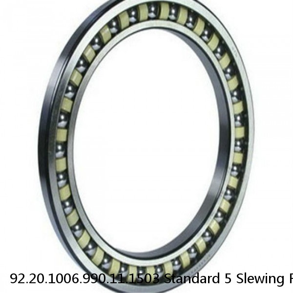 92.20.1006.990.11.1503 Standard 5 Slewing Ring Bearings #1 image