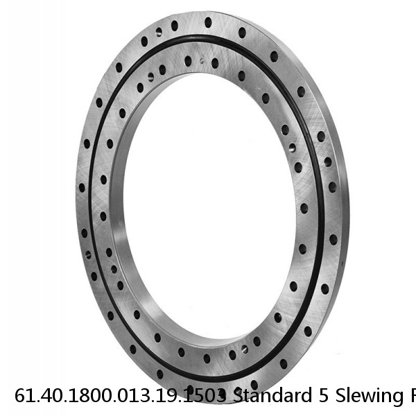 61.40.1800.013.19.1503 Standard 5 Slewing Ring Bearings #1 image