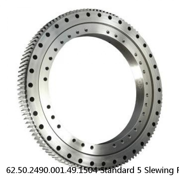 62.50.2490.001.49.1504 Standard 5 Slewing Ring Bearings #1 image