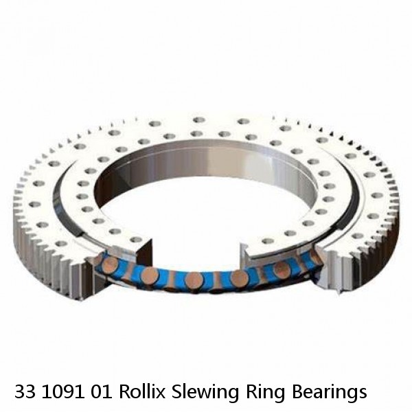 33 1091 01 Rollix Slewing Ring Bearings #1 image