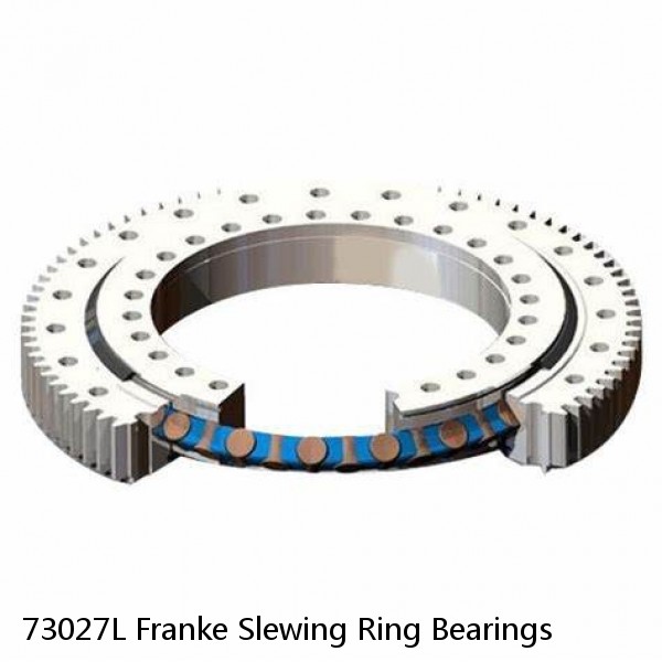 73027L Franke Slewing Ring Bearings #1 image