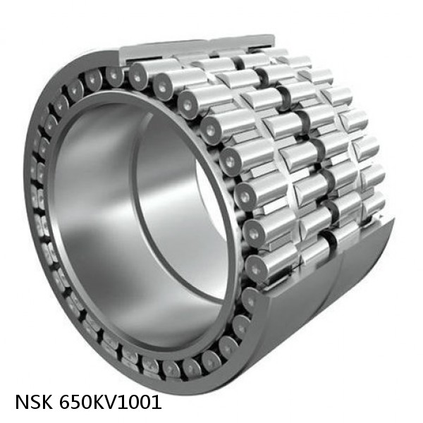 650KV1001 NSK Four-Row Tapered Roller Bearing #1 image